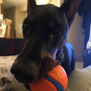 Meet your Posher, Megan